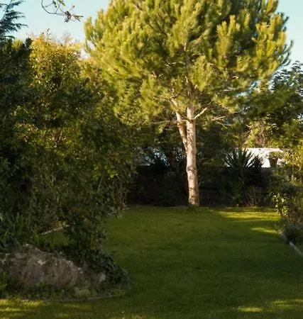 Апартаменты Edles In Architektenvilla Mit Grossem Pool, Sauna, Dachterrasse Und Malerischem Garten