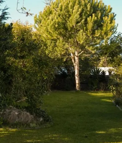 公寓 Edles In Architektenvilla Mit Grossem Pool, Sauna, Dachterrasse Und Malerischem Garten